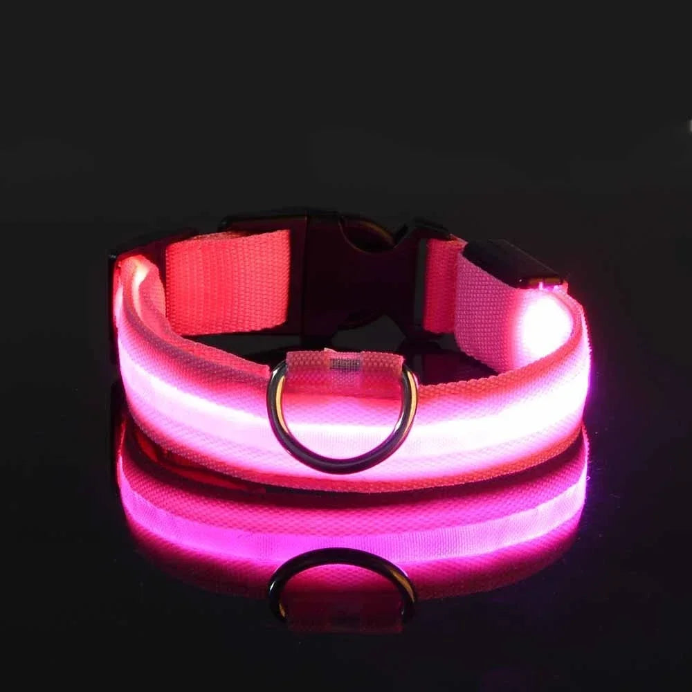LED Dog Safety Flashing Collar