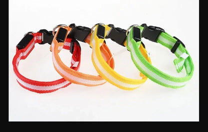 LED Dog Safety Flashing Collar