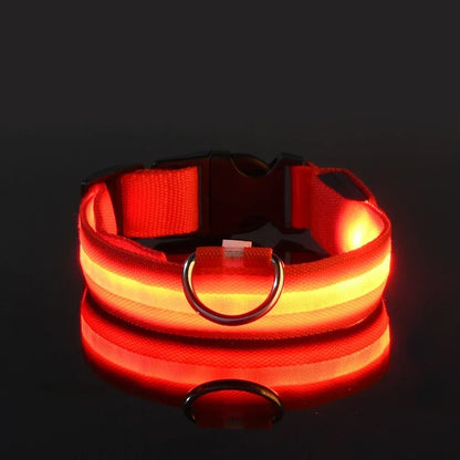 LED Dog Safety Flashing Collar