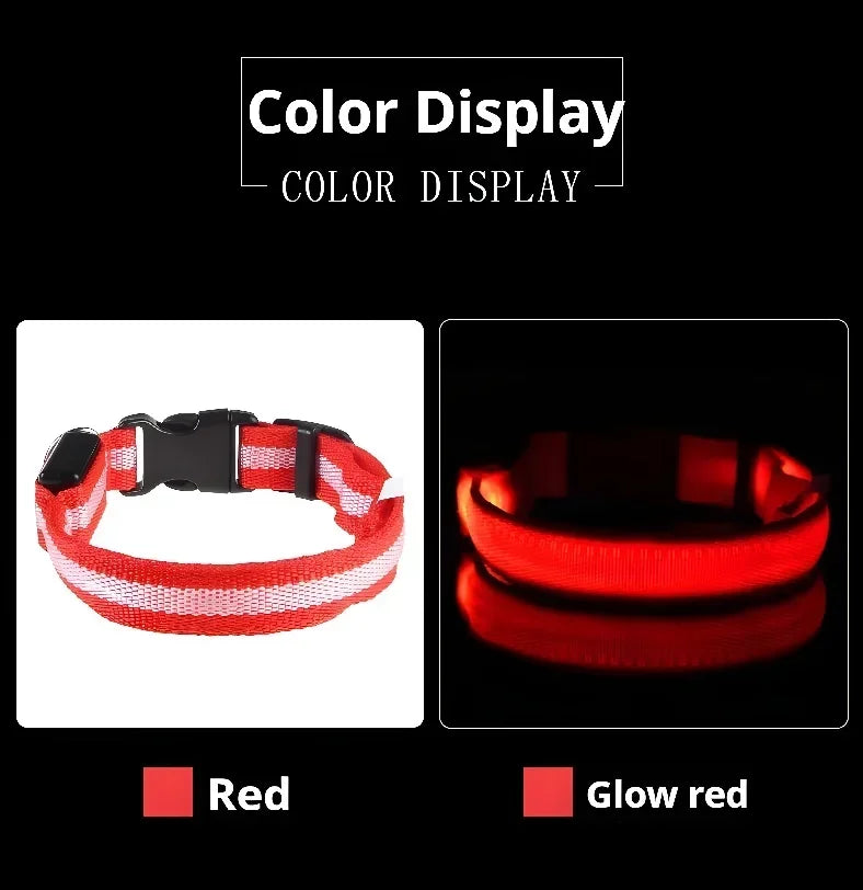 LED Dog Safety Flashing Collar