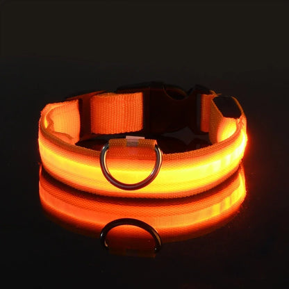 LED Dog Safety Flashing Collar