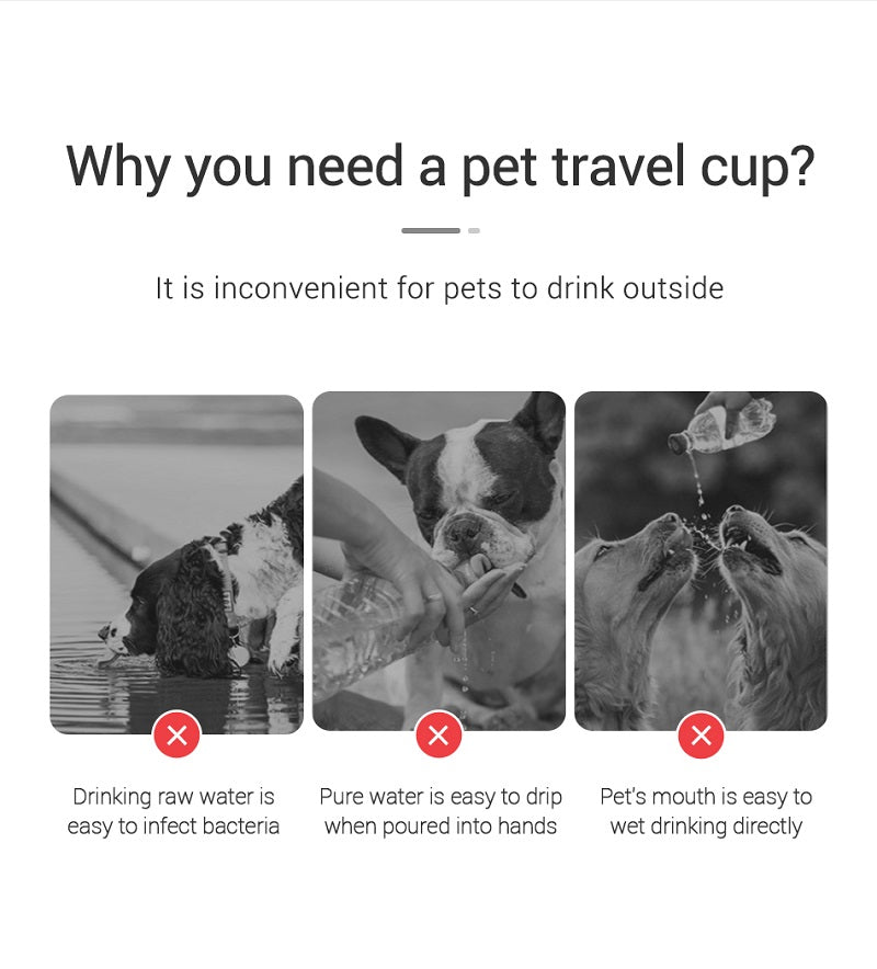 Portable Pet Water Bowl