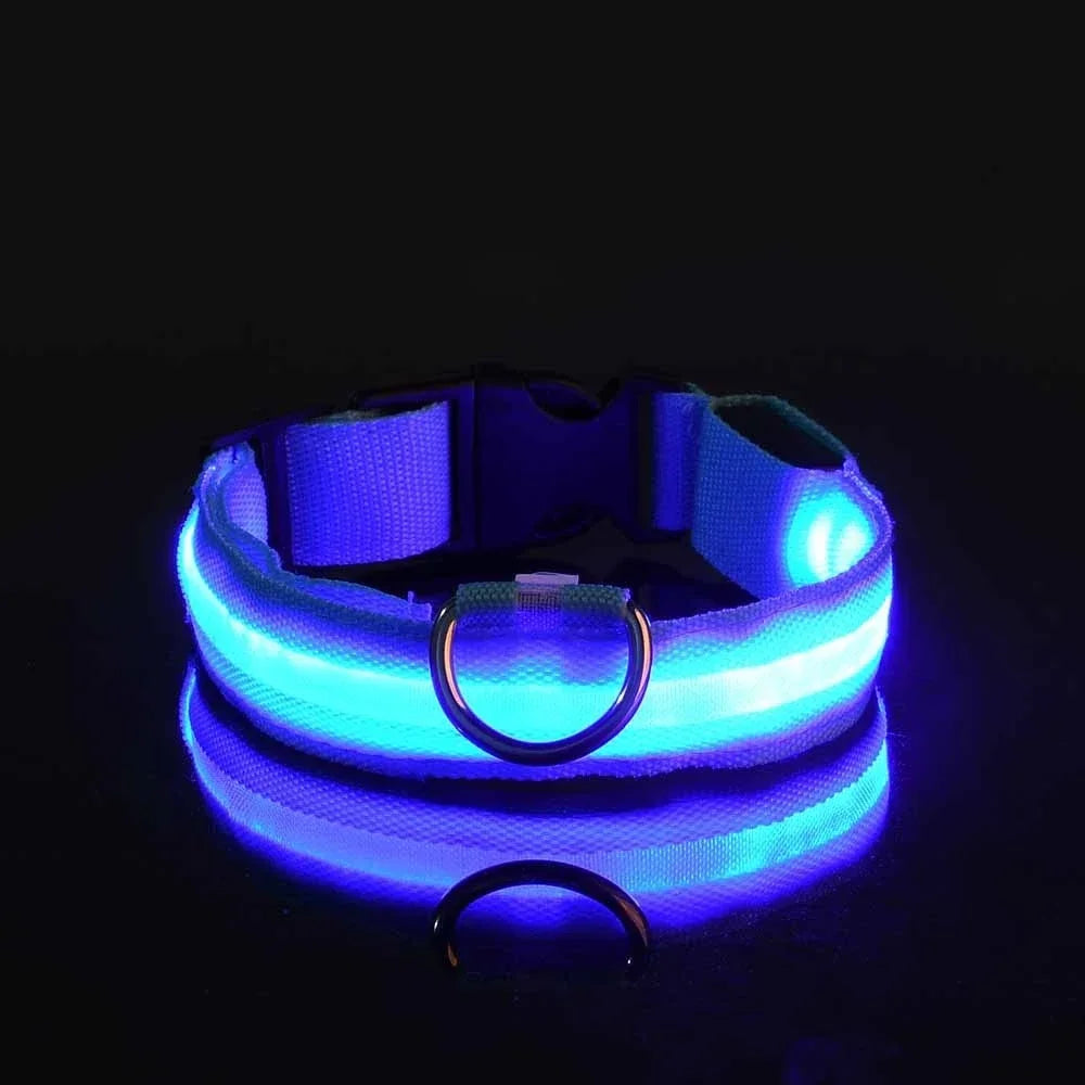 LED Dog Safety Flashing Collar