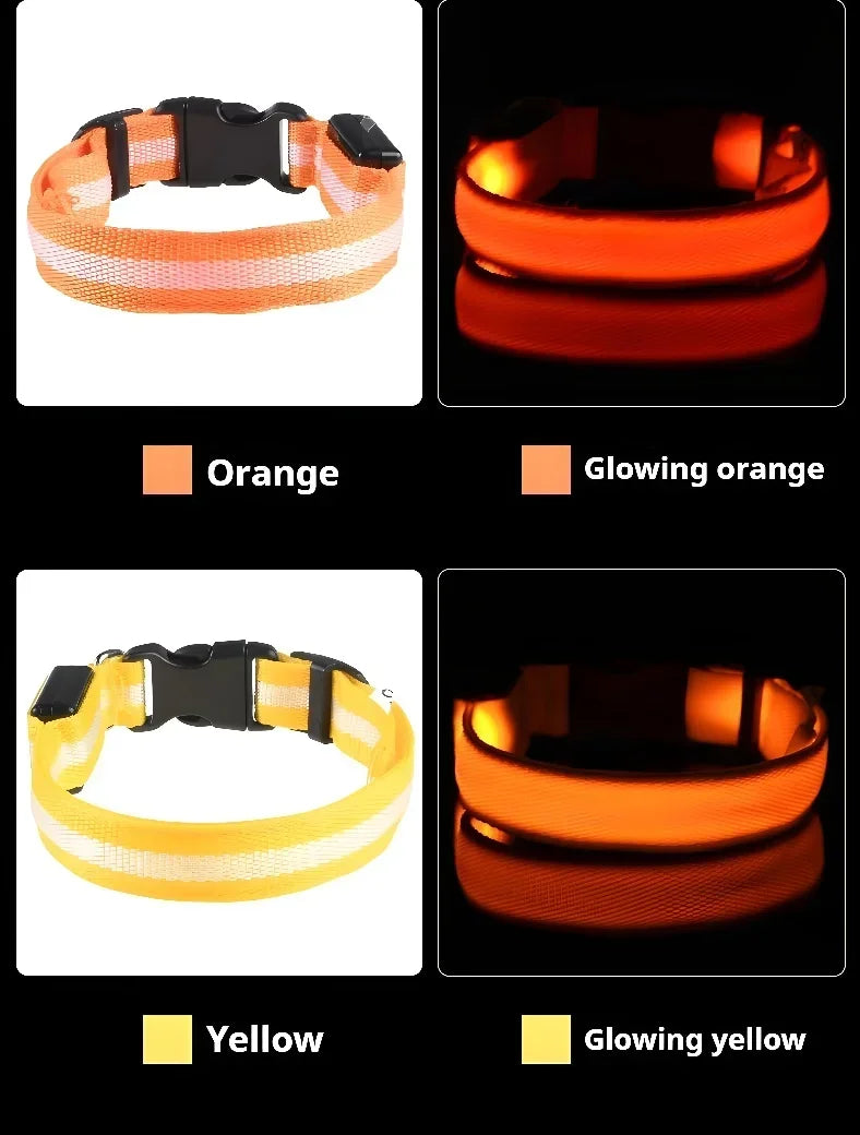 LED Dog Safety Flashing Collar