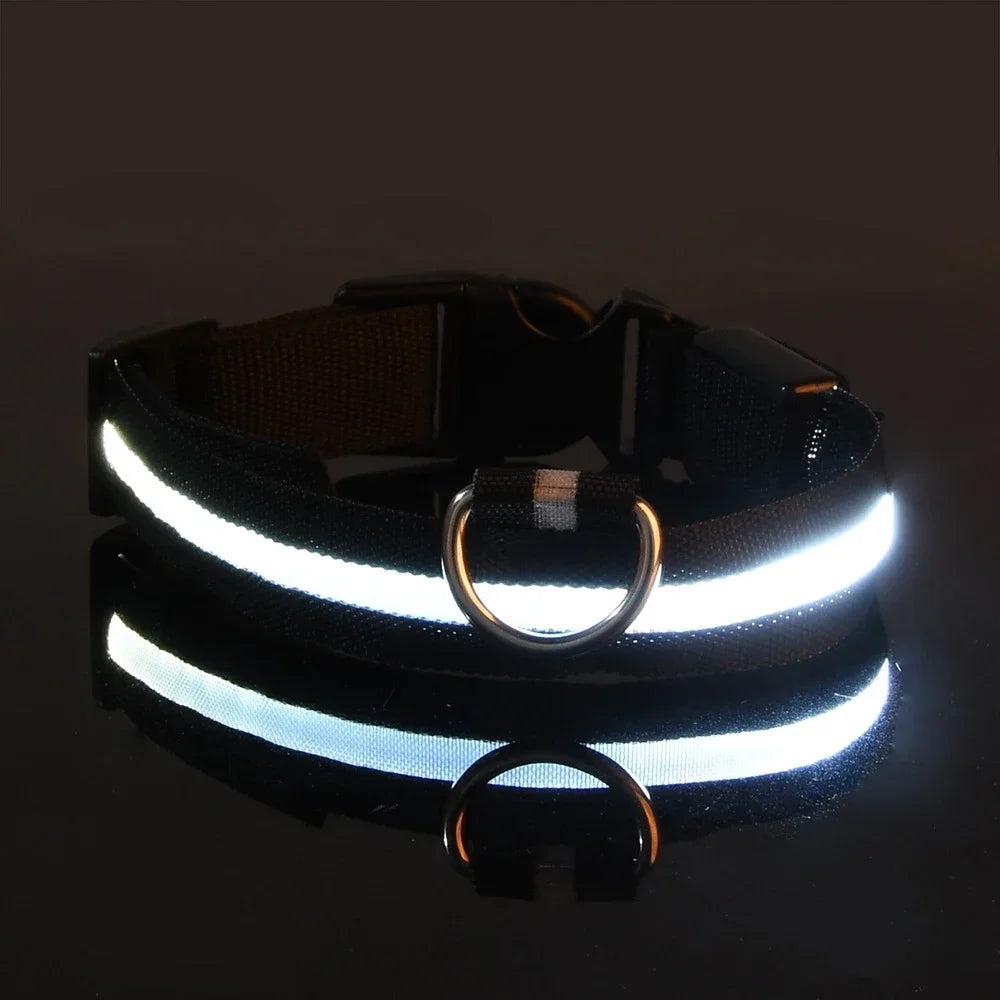 LED Dog Safety Flashing Collar