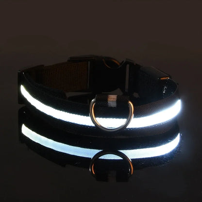 LED Dog Safety Flashing Collar