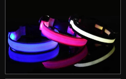 LED Dog Safety Flashing Collar