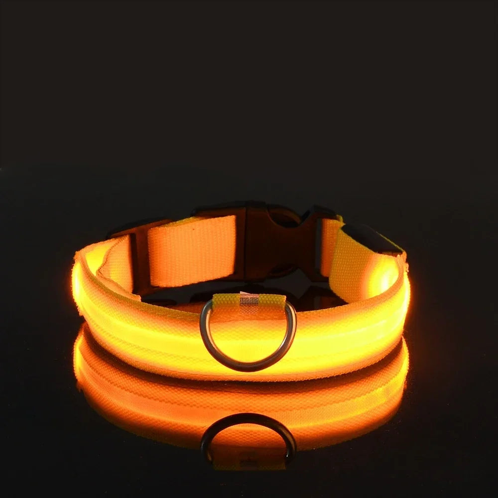 LED Dog Safety Flashing Collar