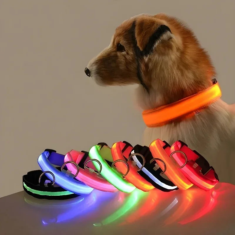 LED Dog Safety Flashing Collar