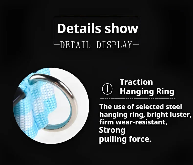 LED Dog Safety Flashing Collar