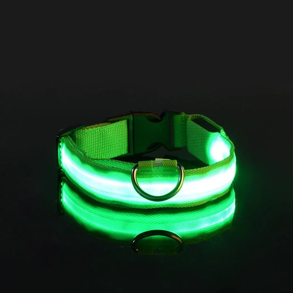 LED Dog Safety Flashing Collar