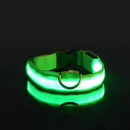 LED Dog Safety Flashing Collar